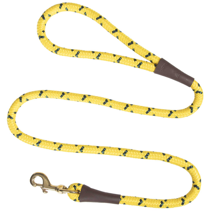 Mendota | Snap Leash | Hi-Vis Yellow