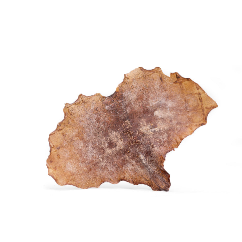 Snack'it | Blæksprutteplader | 250g