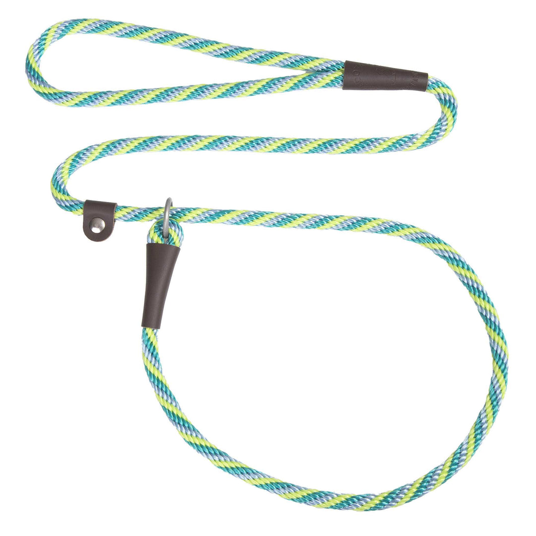 Mendota | Slip Leash | Seafoam