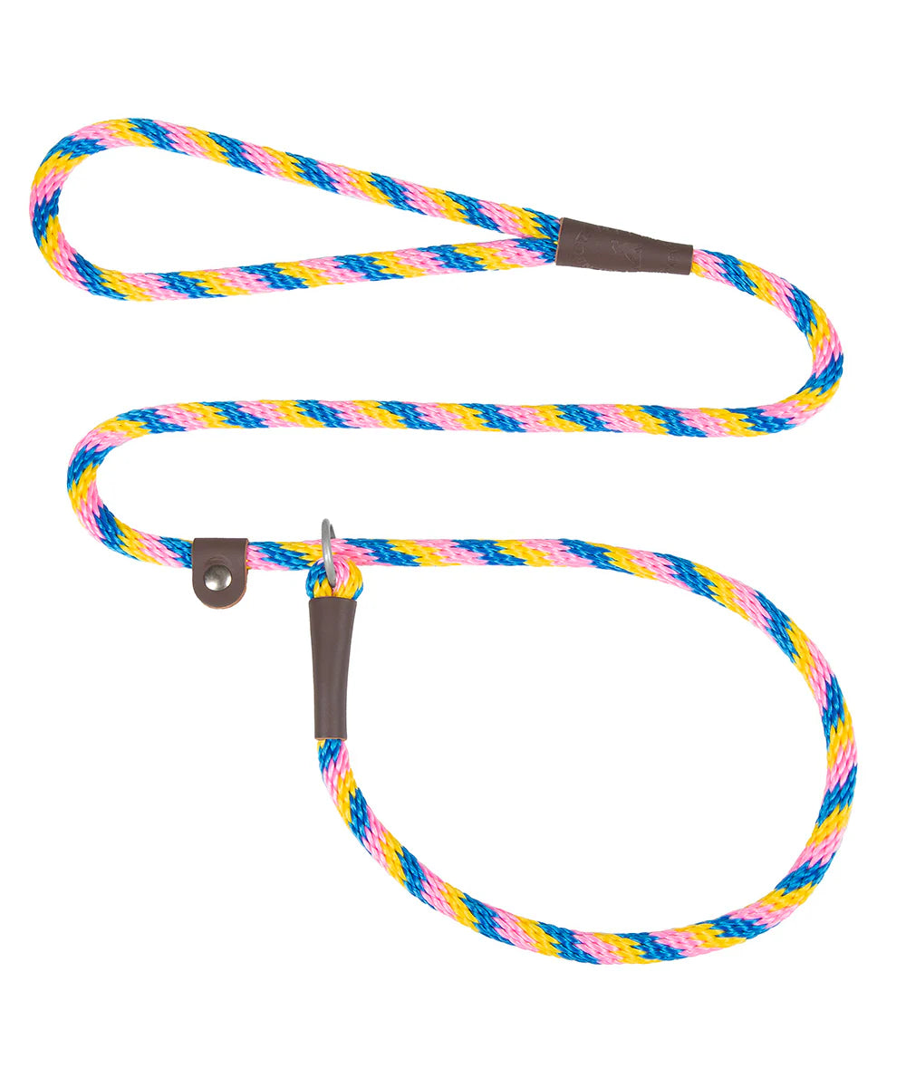 Mendota | Slip Leash | Beach Ball