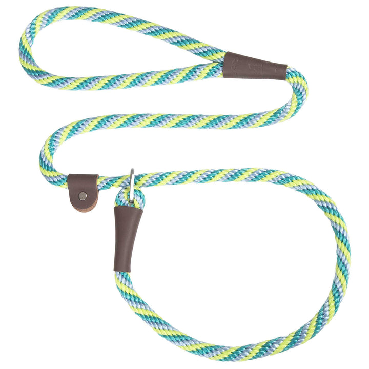 Mendota | Slip Leash | Seafoam