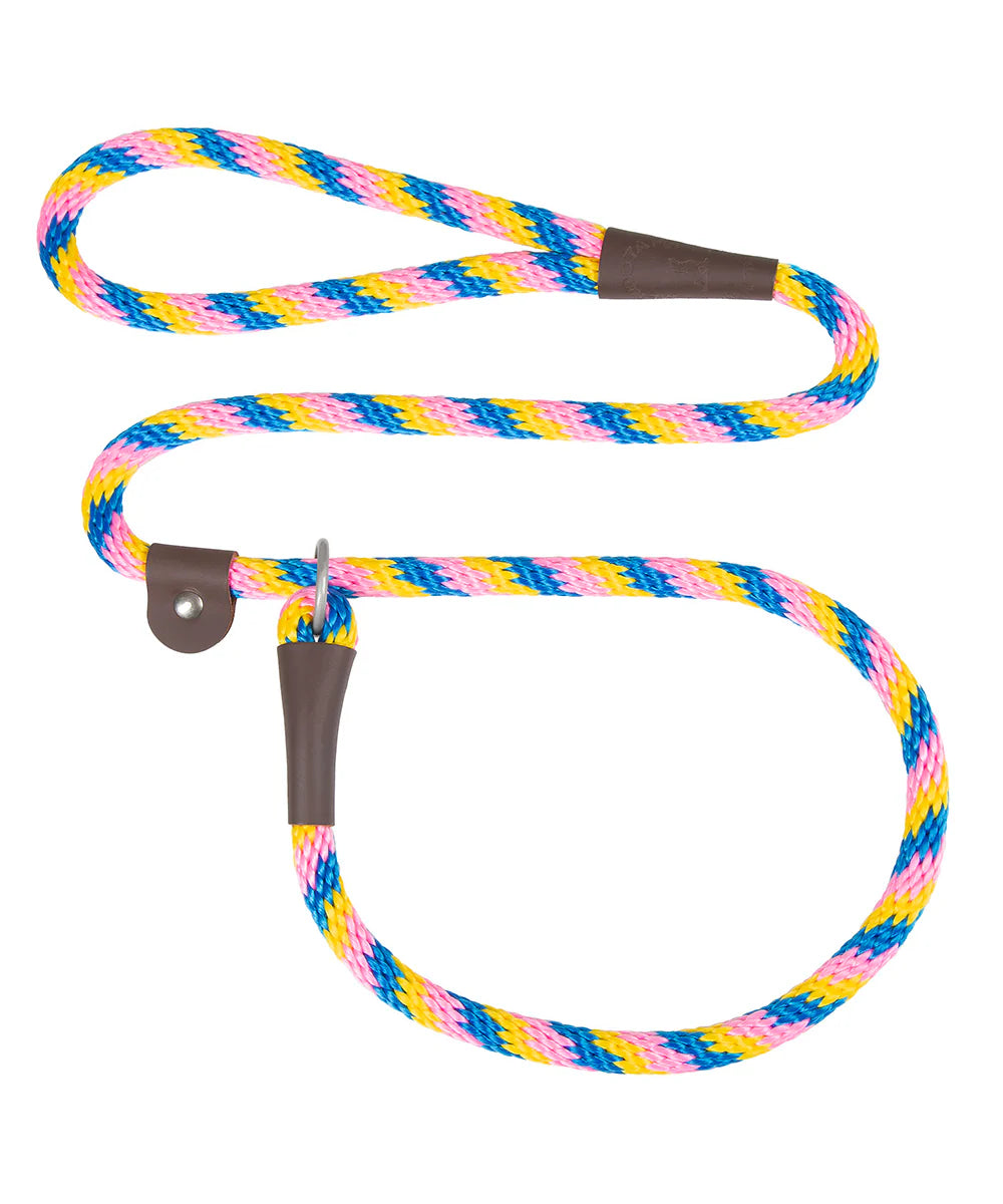 Mendota | Slip Leash | Beach Ball