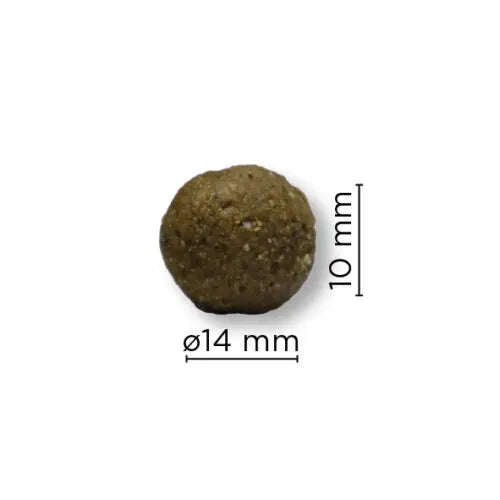 Arion Original | Skin & Coat | Medium