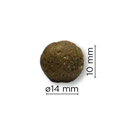 Arion Original | Adult All Breeds | Light