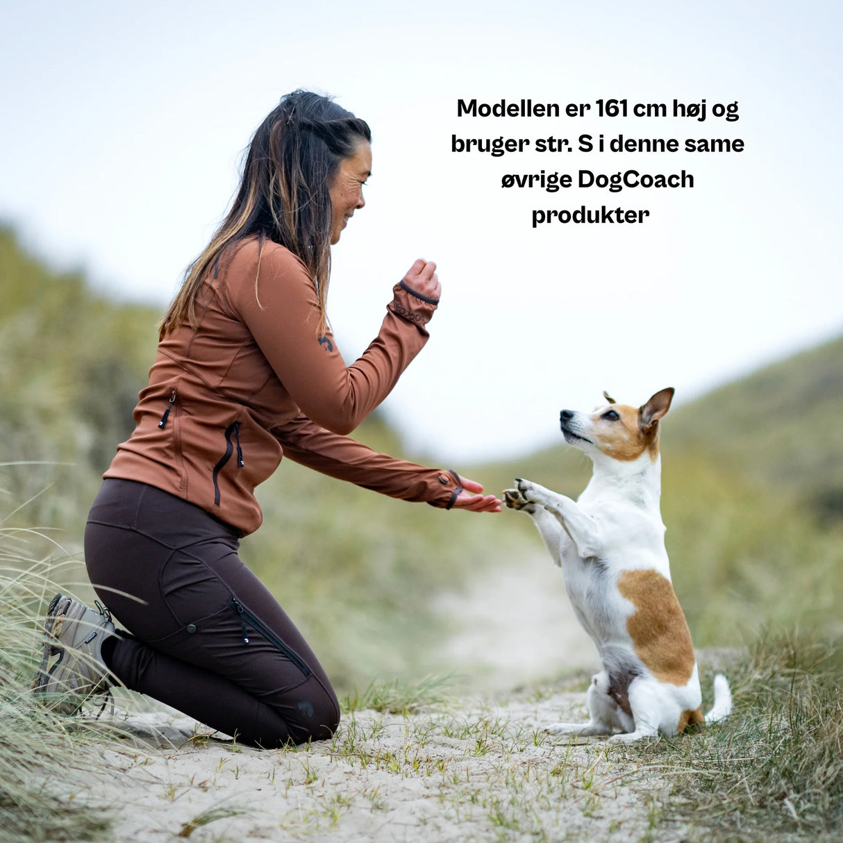 DC | FeelFree Dog Walker Zip Jacket | Sort | Musli