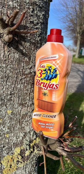 Las 3 Brujas | Madera