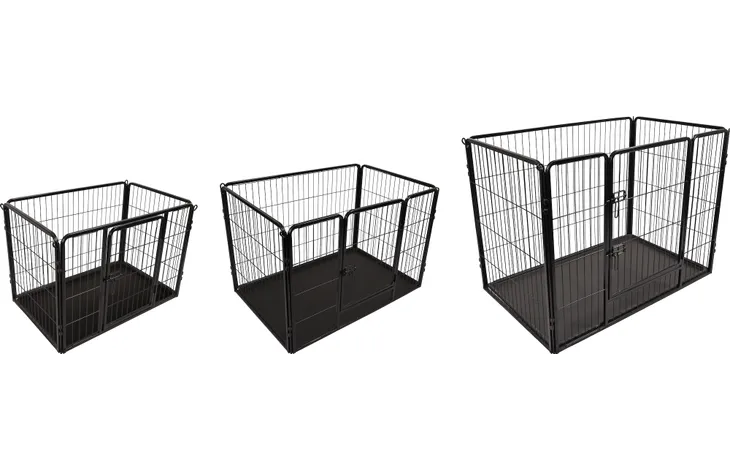 Kazan Hvalpegård | Sort