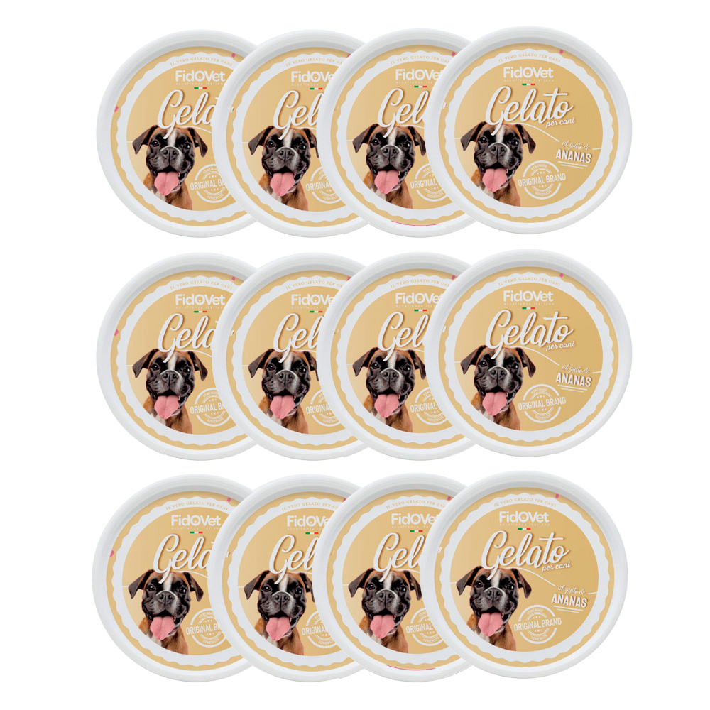 FidOOvet | Gelato hundeis | Ananas