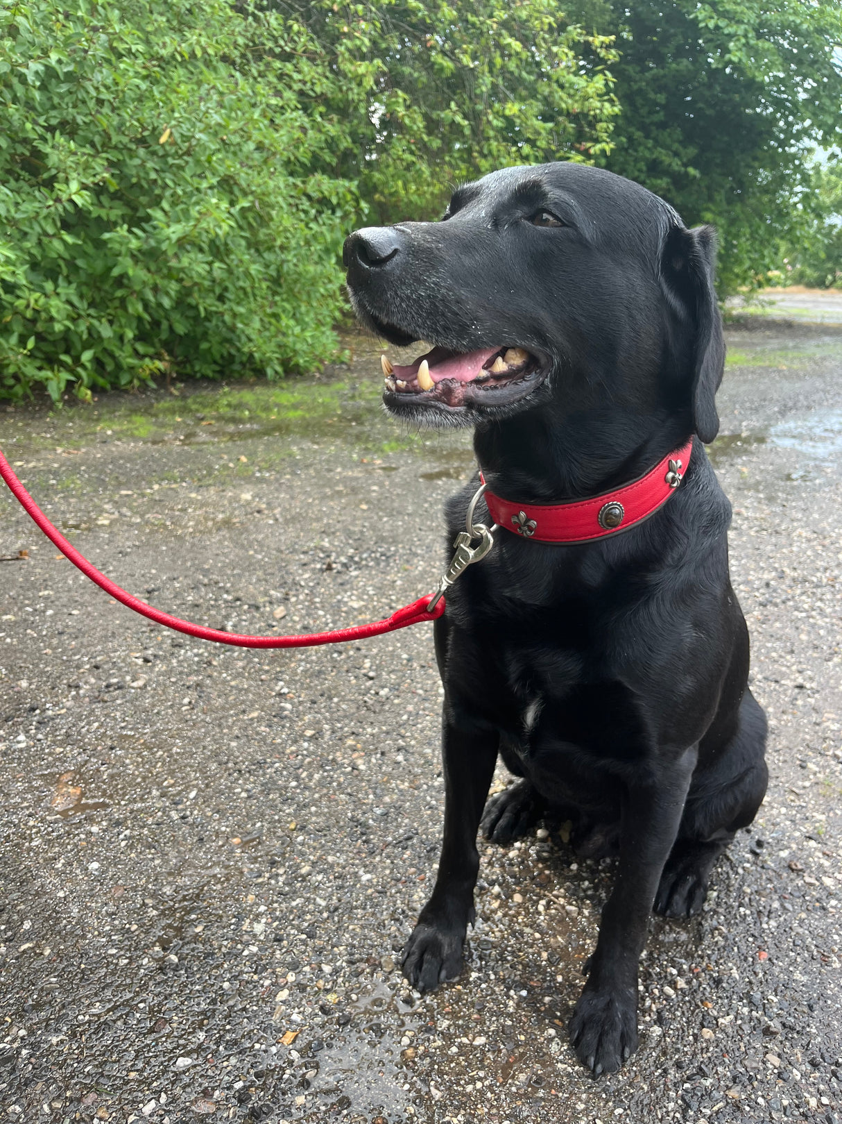 Maul | Læderline Rundsyet Rød | 1,2 M | M. Sølv