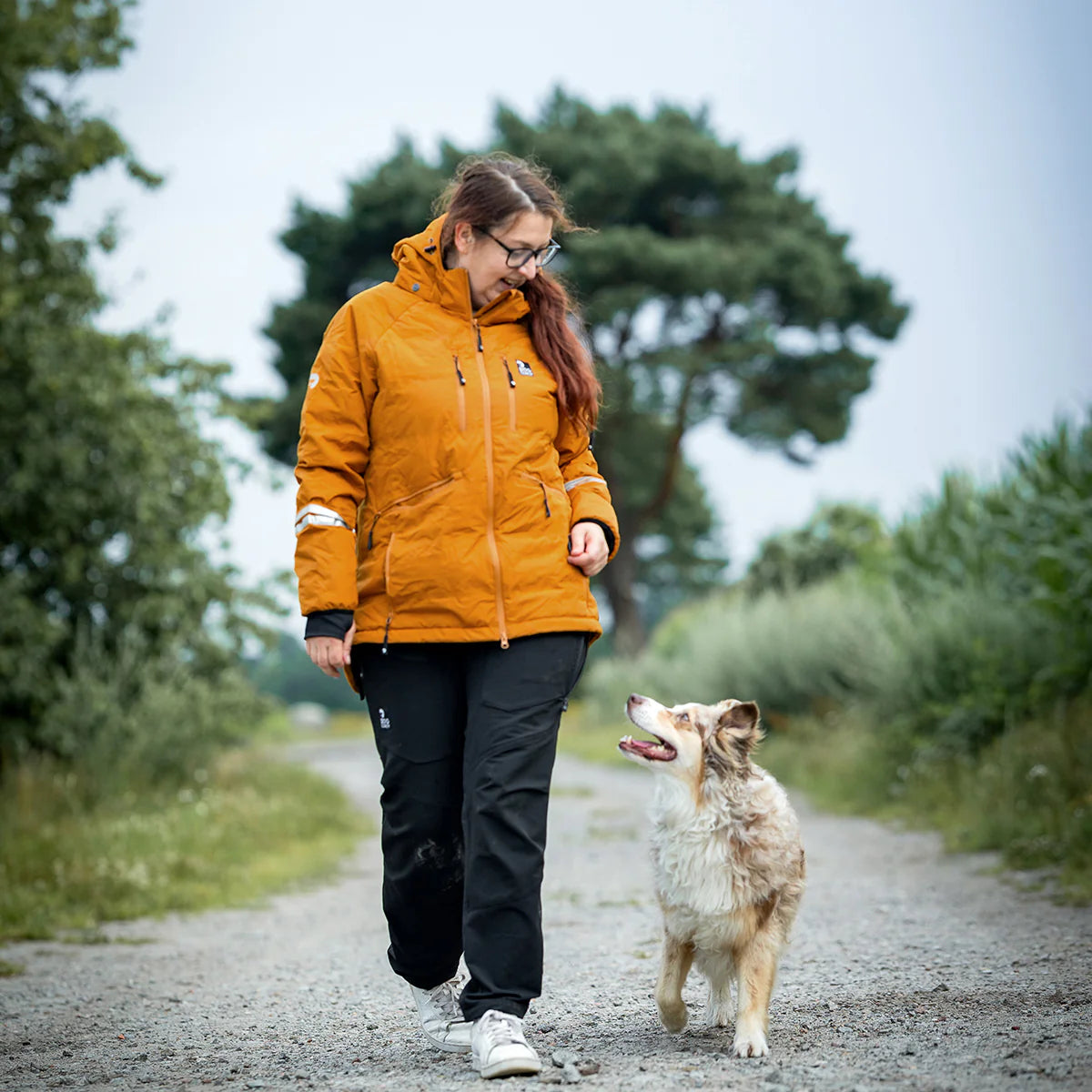 DC | KeepDry Overgangsjakke 2.0 | Mustard | Splinter