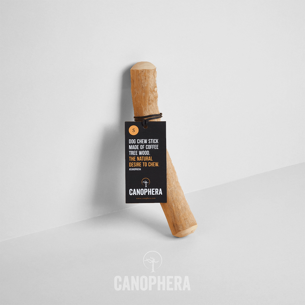 Canophera | Kaffetræ | S