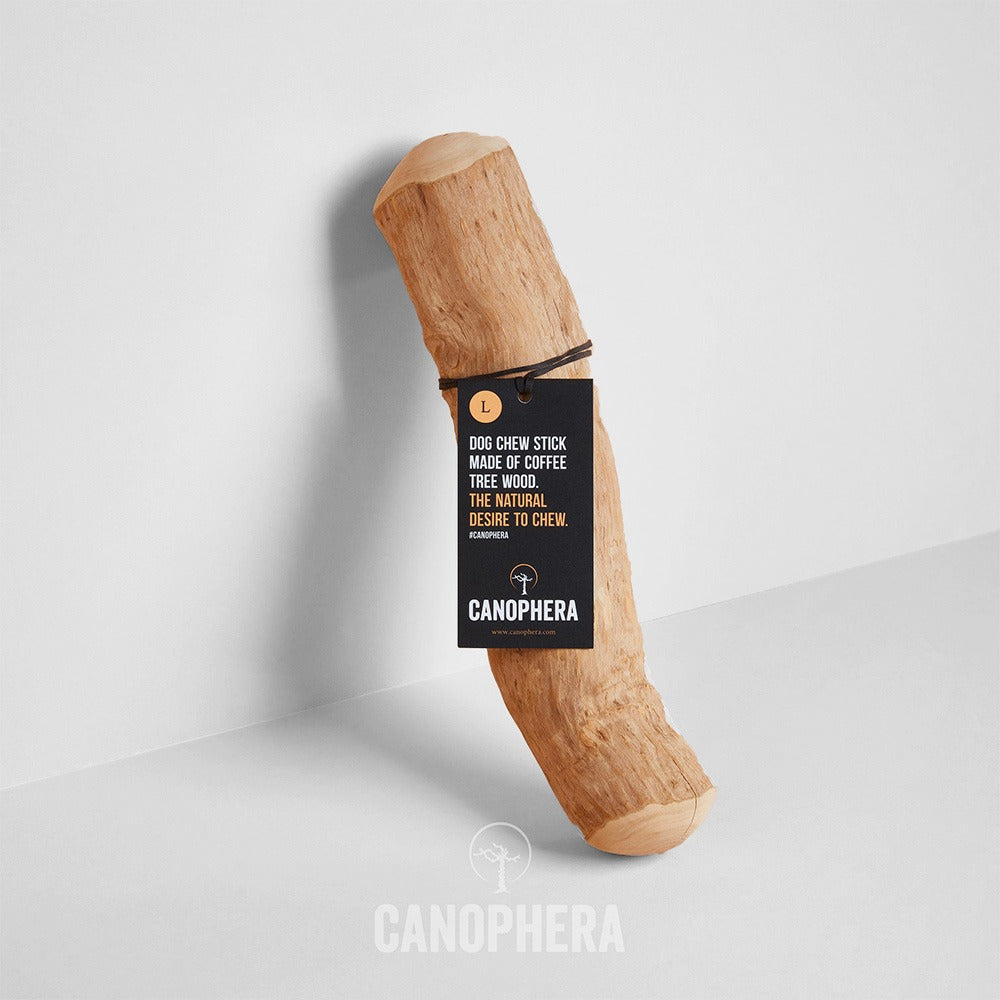 Canophera | Kaffetræ | L