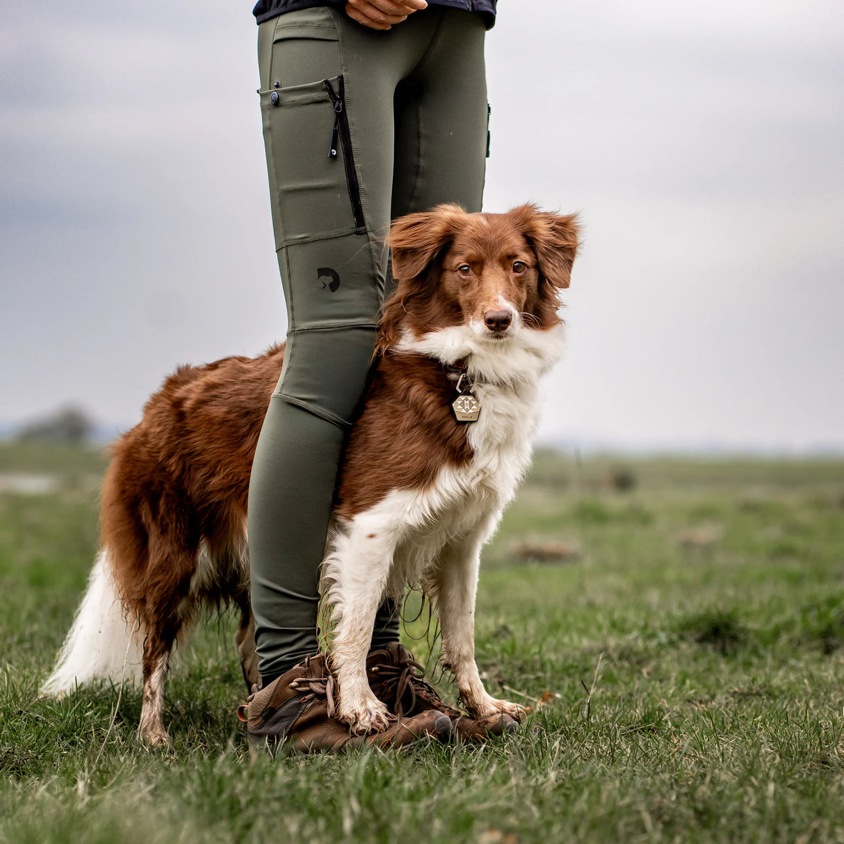 DC | FeelFree Dog Walker Tights | Beetle | Dakota