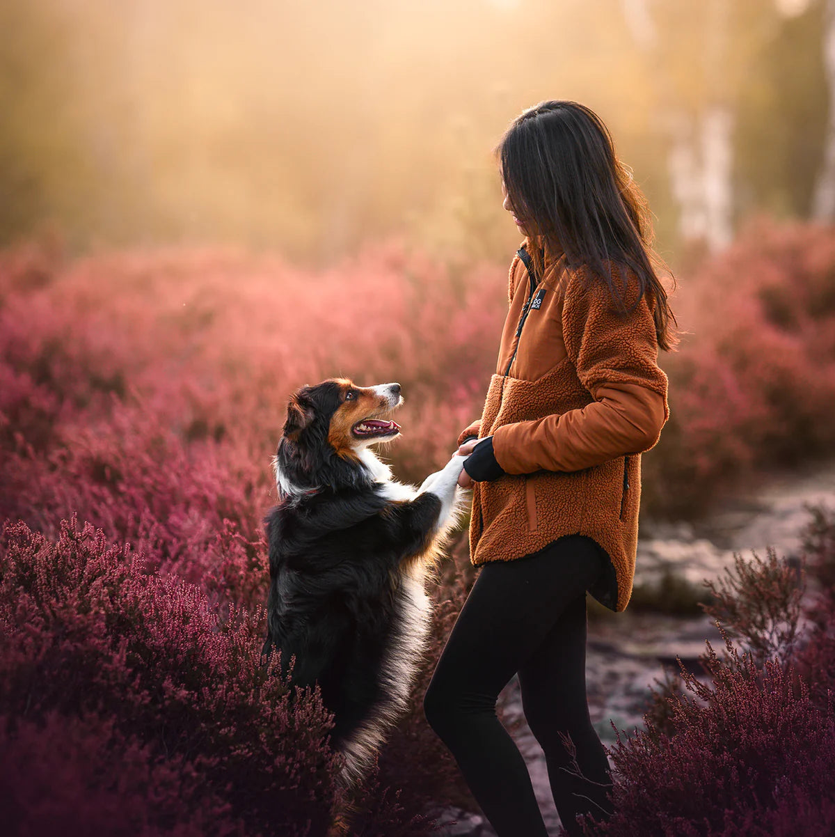 DC | Teddy Shirt 2.0 | Unisex | Caramel | Keela
