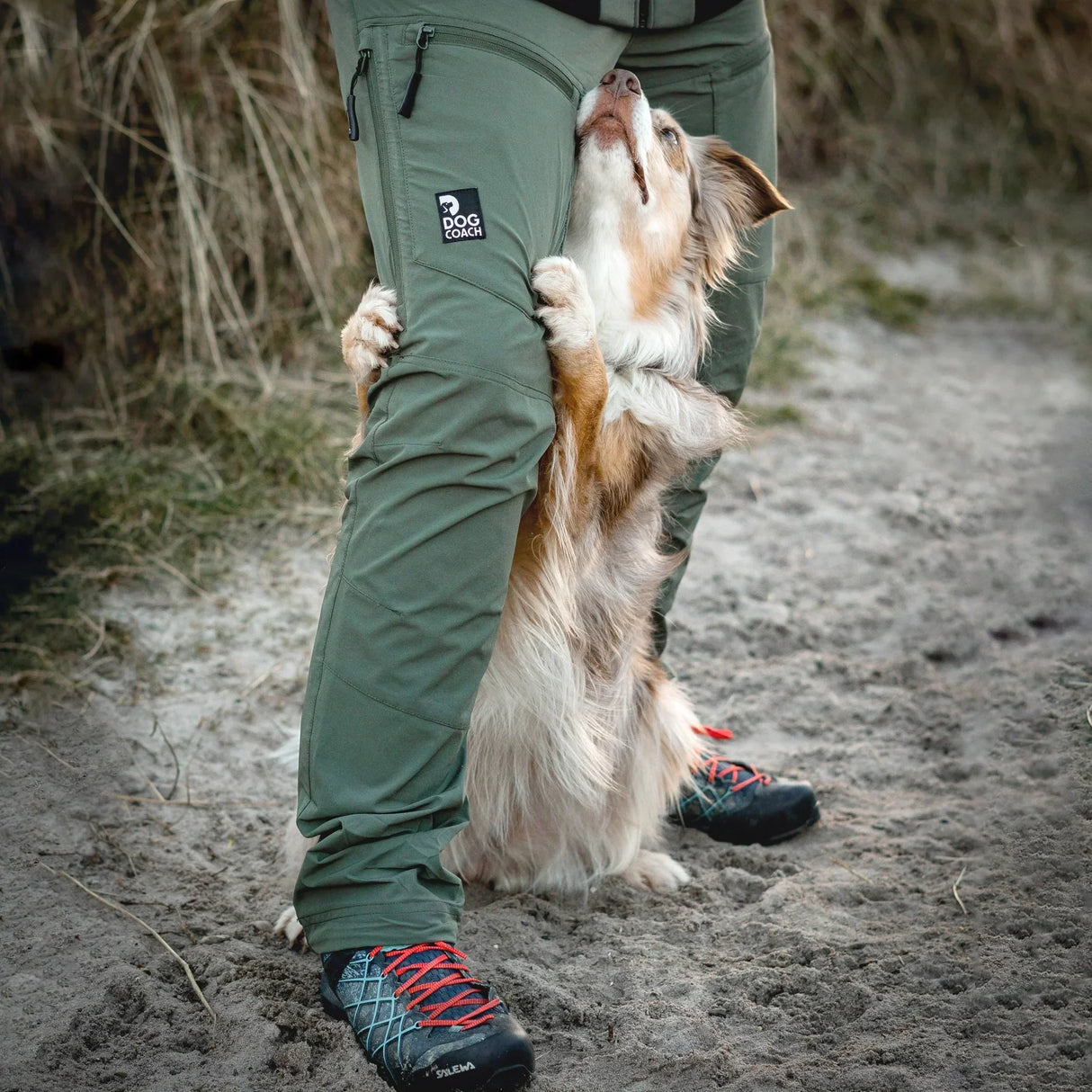 DC | Hundelufter skalbukser | Beetle | Ekstra længde | Hope