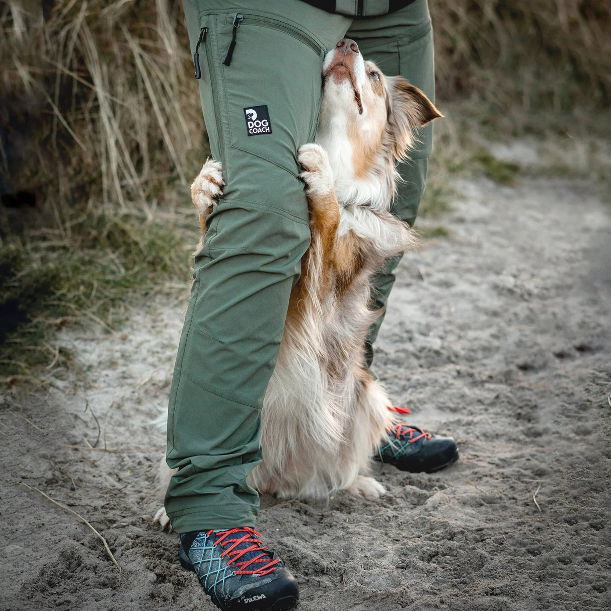 DC | Hundelufter skalbukser | Beetle | Normal længde | Franzi | NEDSAT 30%