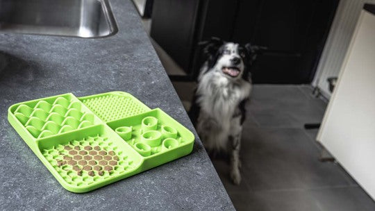 Eat Slow - Live Longer | Lick Mat | Rectangle