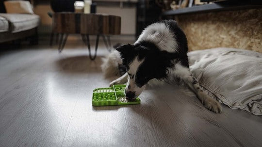 Eat Slow - Live Longer | Lick Mat | Rectangle