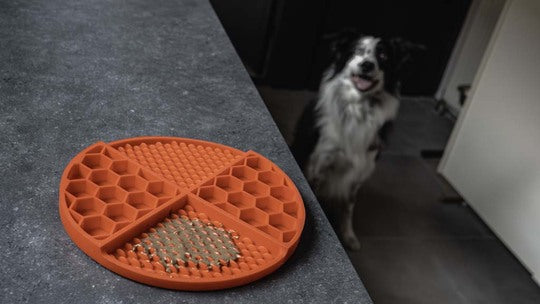 Eat Slow - Live Longer | Lick Mat | Dimensions Circle