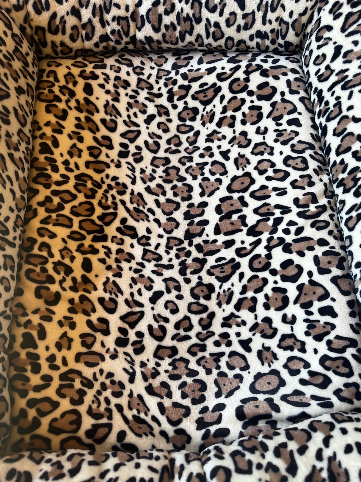 Wellness seng | Leopard