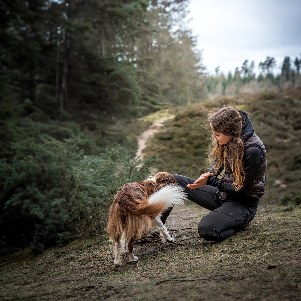 DC | Hundelufter skalbukser | Sort | Kort længde | Curran | NEDSAT 30%