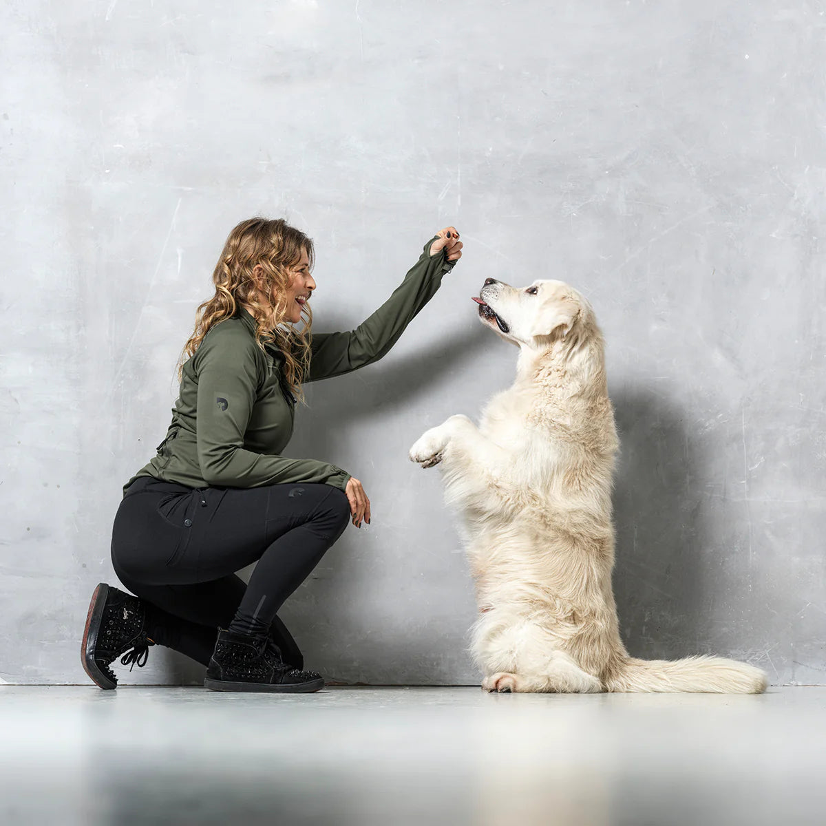 DC | FeelFree Dog Walker Zip Jacket | Beetle | Leo