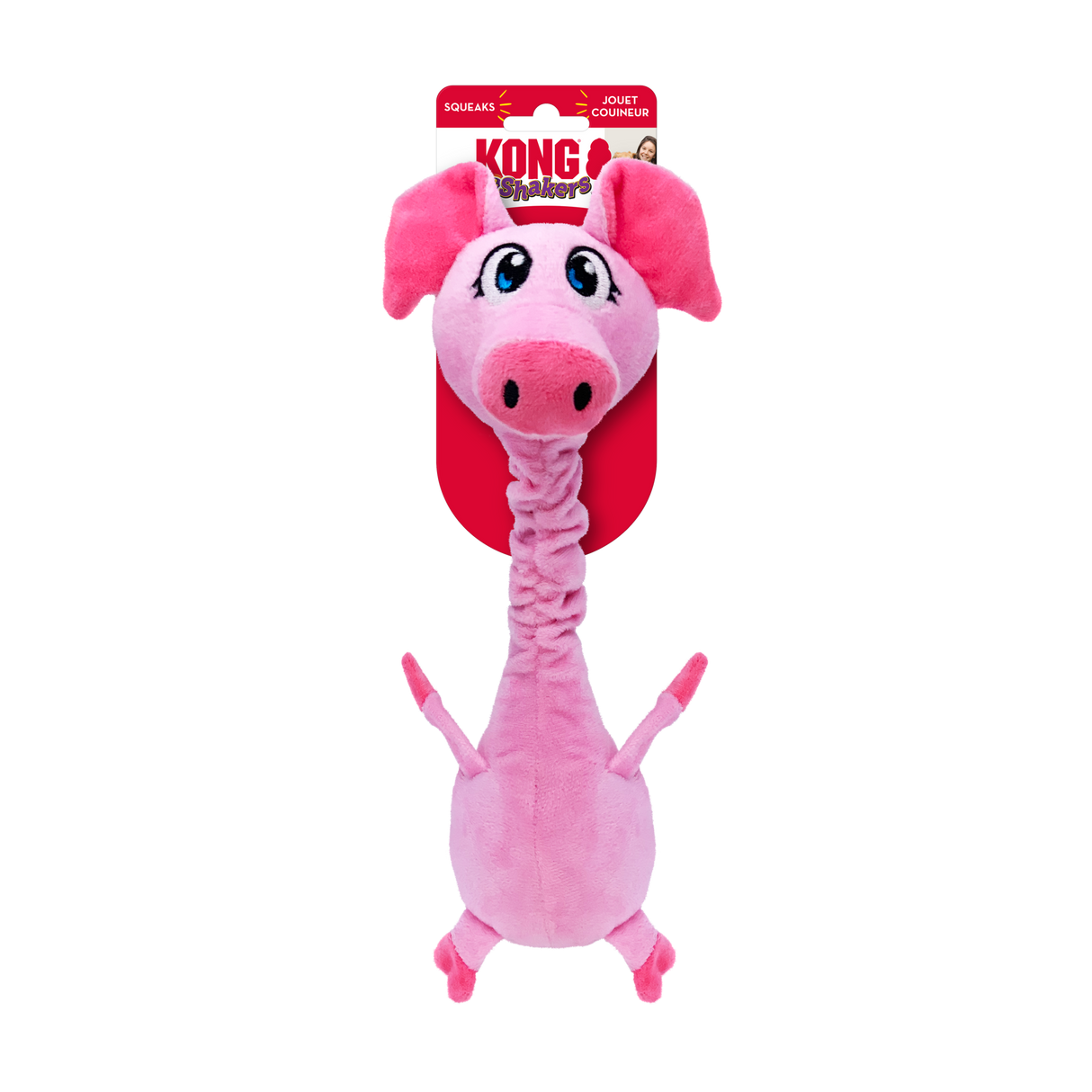 Kong | Shakers | Bobz