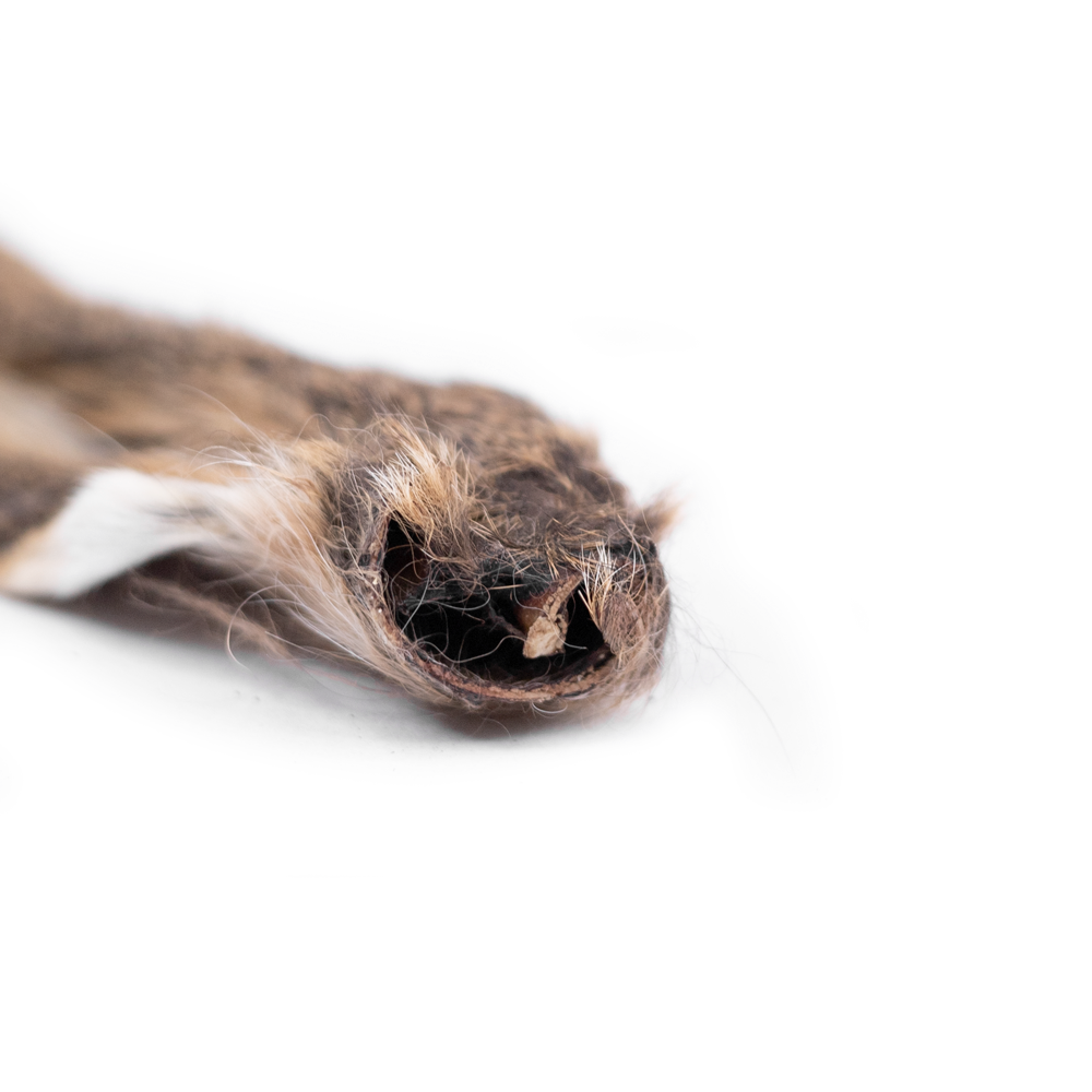 Snack'it | Kanin | Vildekaninører med pels