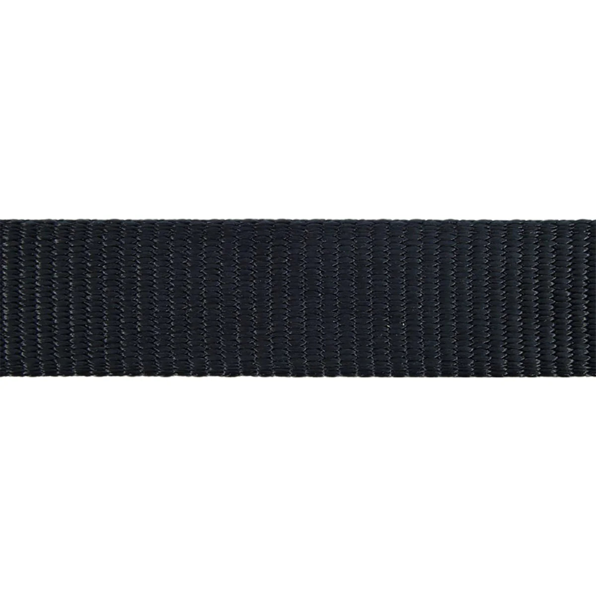 Red Dingo | Classic Black | Line