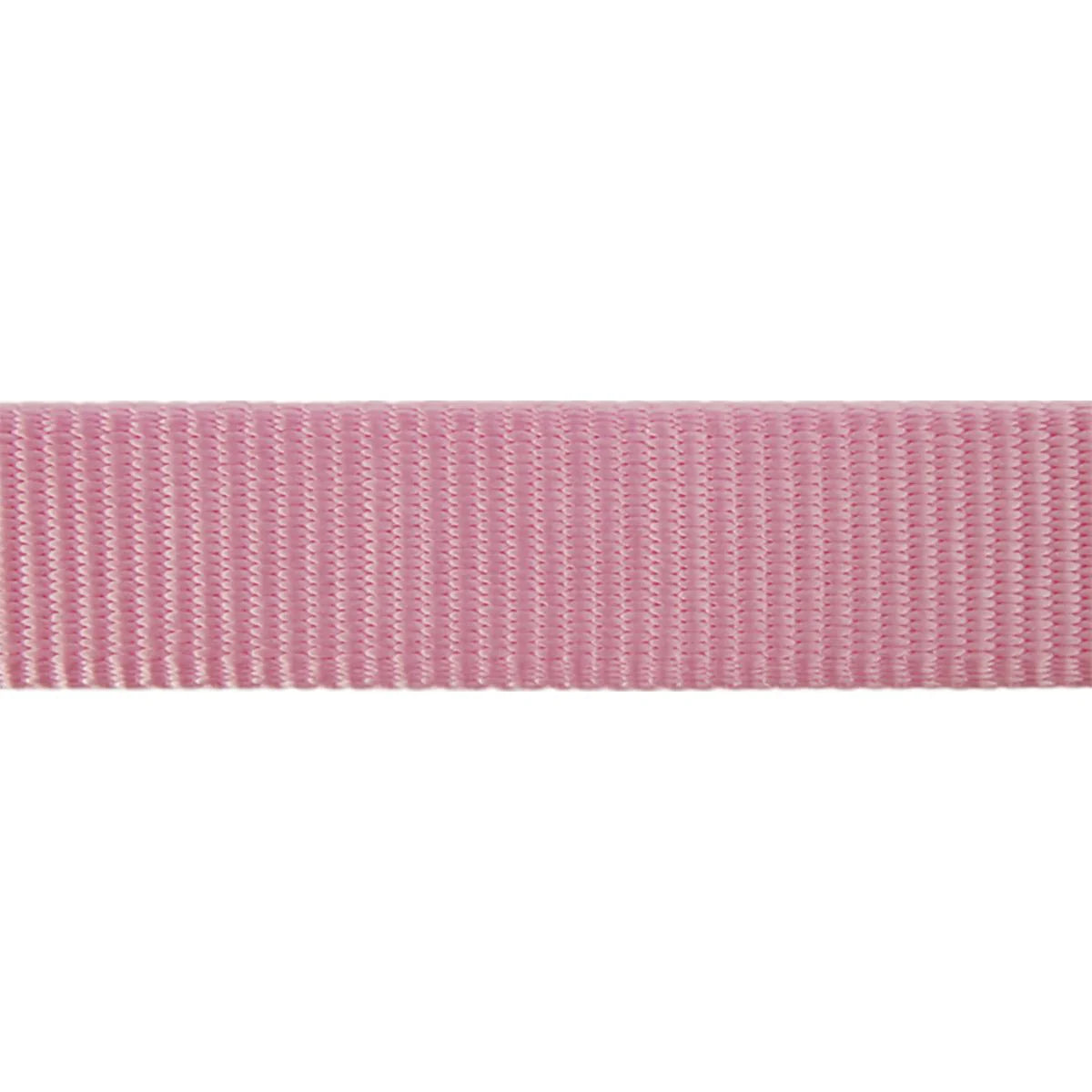 Red Dingo | Classic Pink | Line