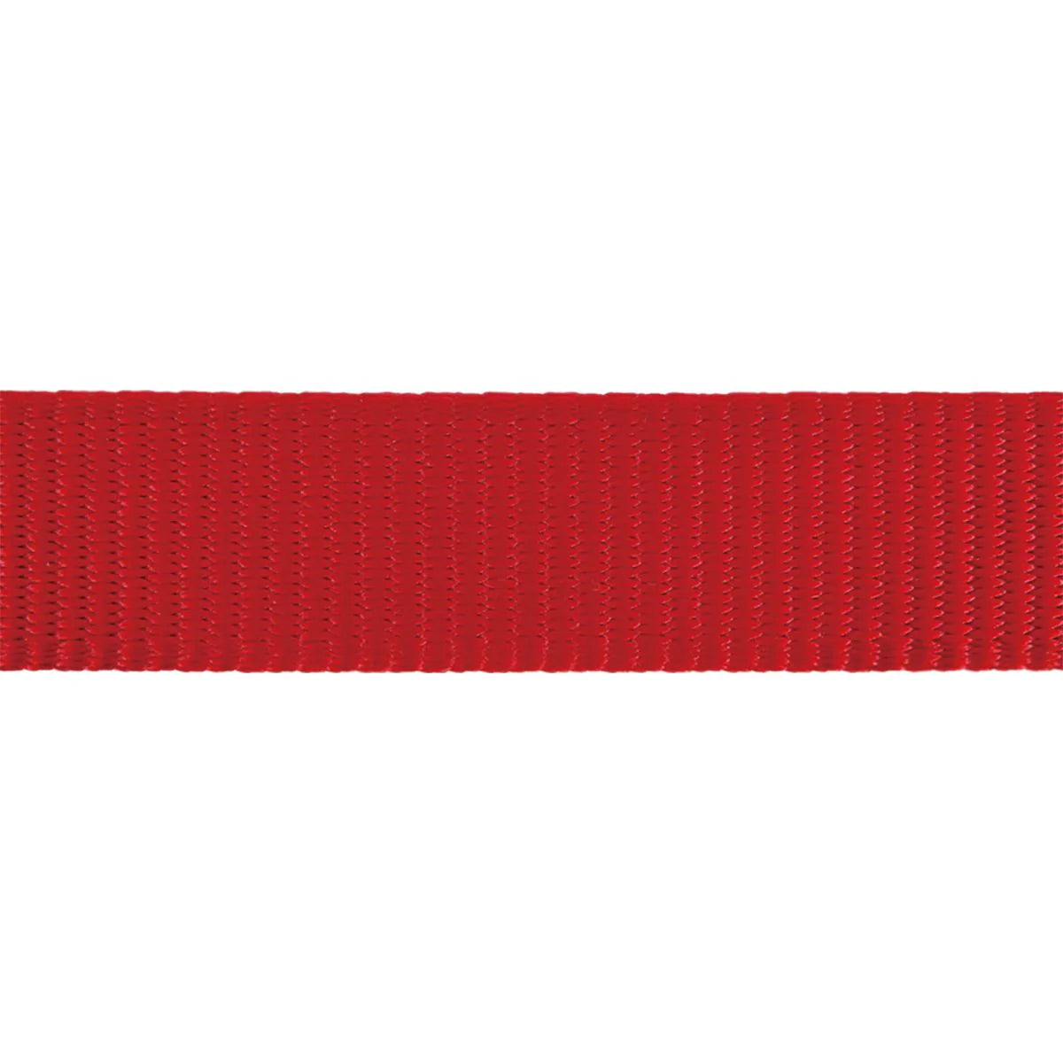 Red Dingo | Classic Red | Semi kvæl