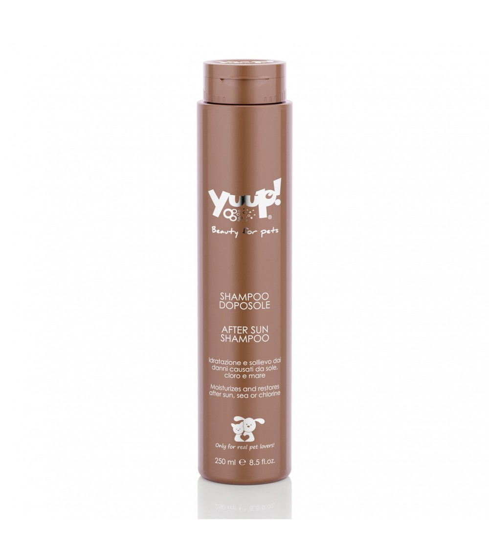 Yuup! | Home | After Sun Shampoo