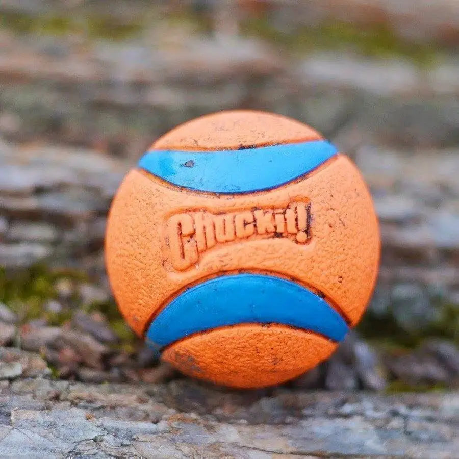 Chuckit | Ultra Ball | Small
