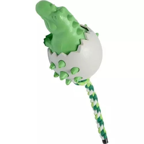 Companion | Chewing Toy | Dinosure Egg