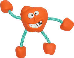 Companion | Chewing Toy