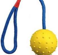 Trixie | Gummiboldold på Snor