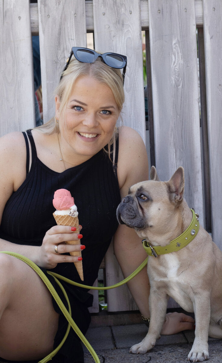 Maul | Diamant Læderhalsbånd sommer Edition | Pistacie