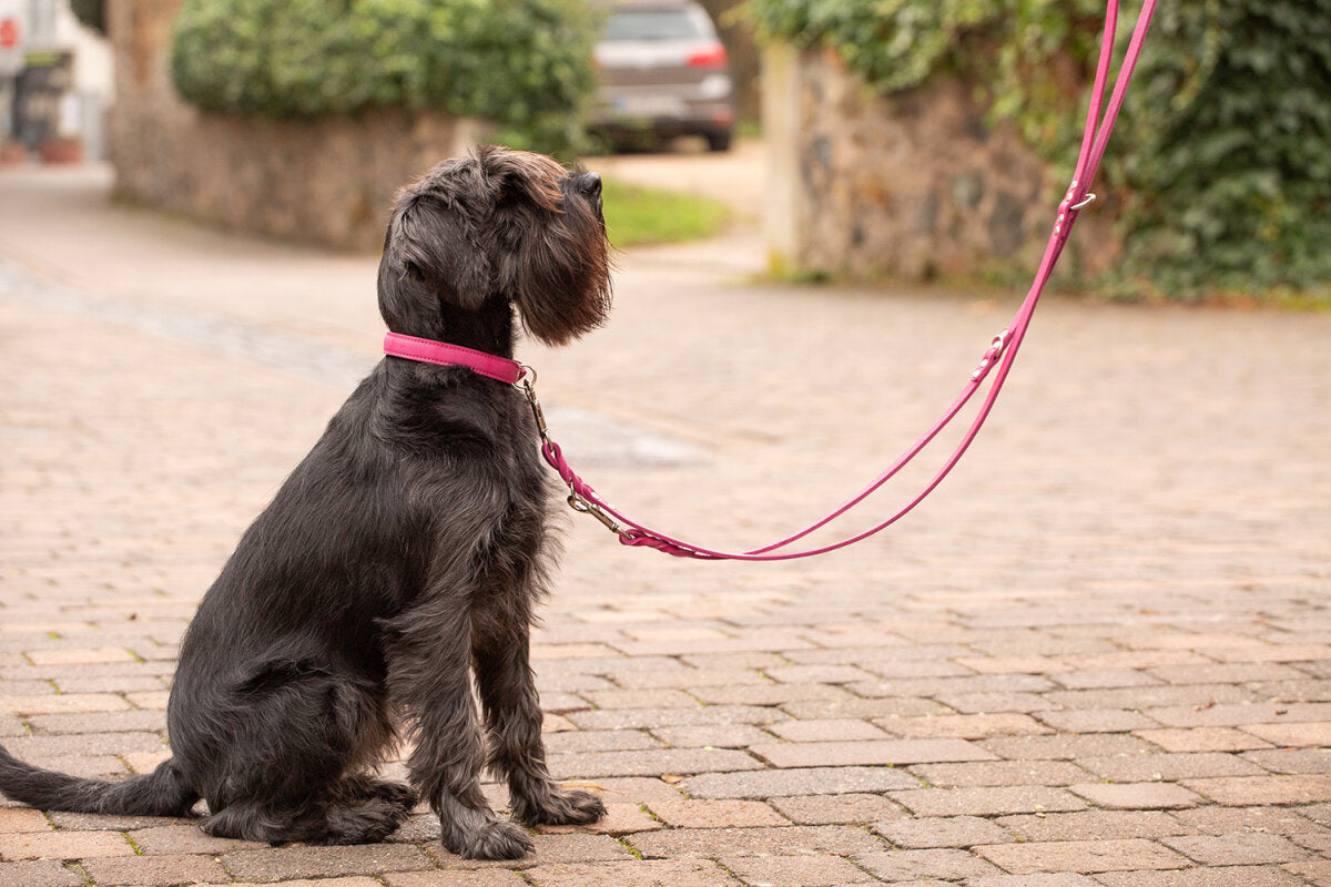 Maul | Læderhalsbånd Mono Pop polstret | Hindbær