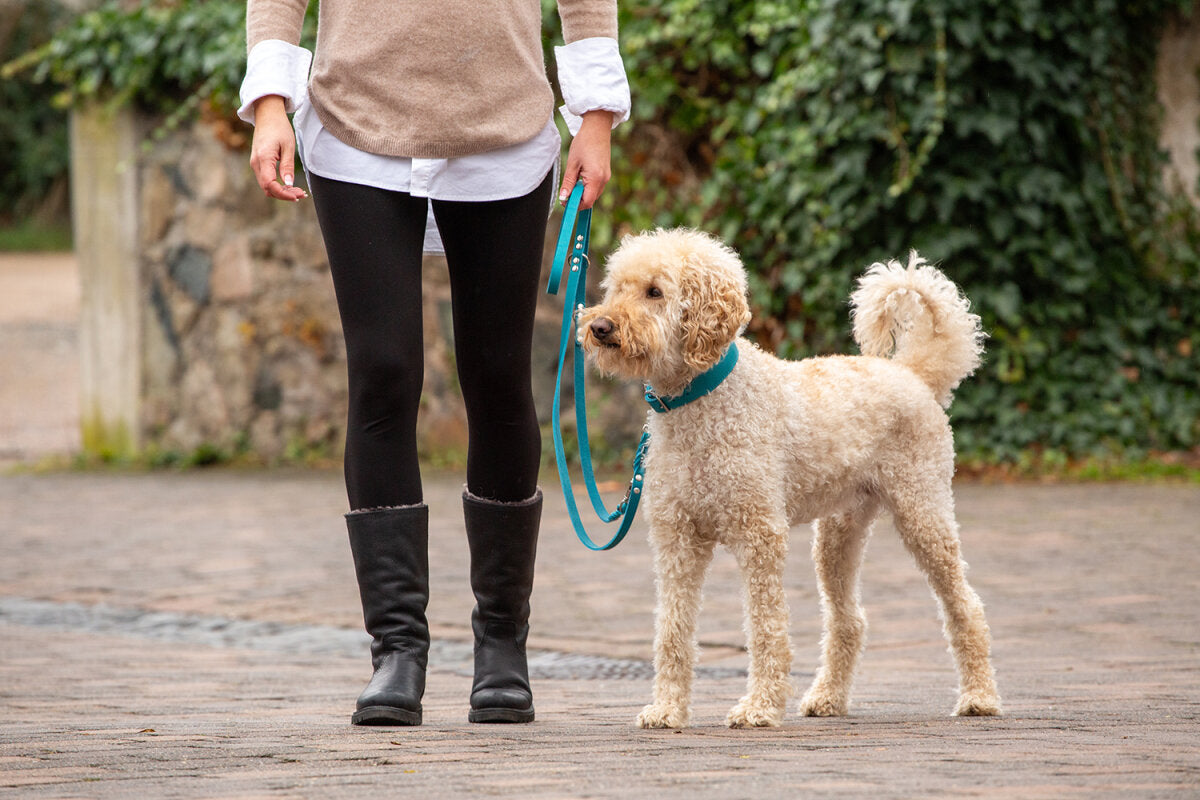 Maul | Læderhalsbånd Mono Pop polstret | petroleum