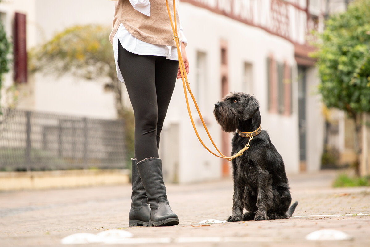 Maul | Læderhalsbånd Sahara | M. Guld