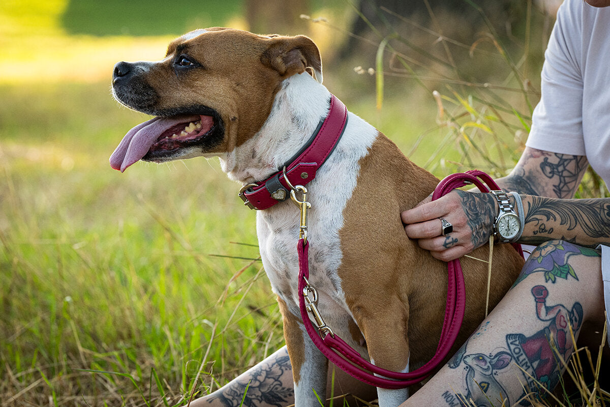 Maul | Læderhalsbånd Spring Break | Lipstick