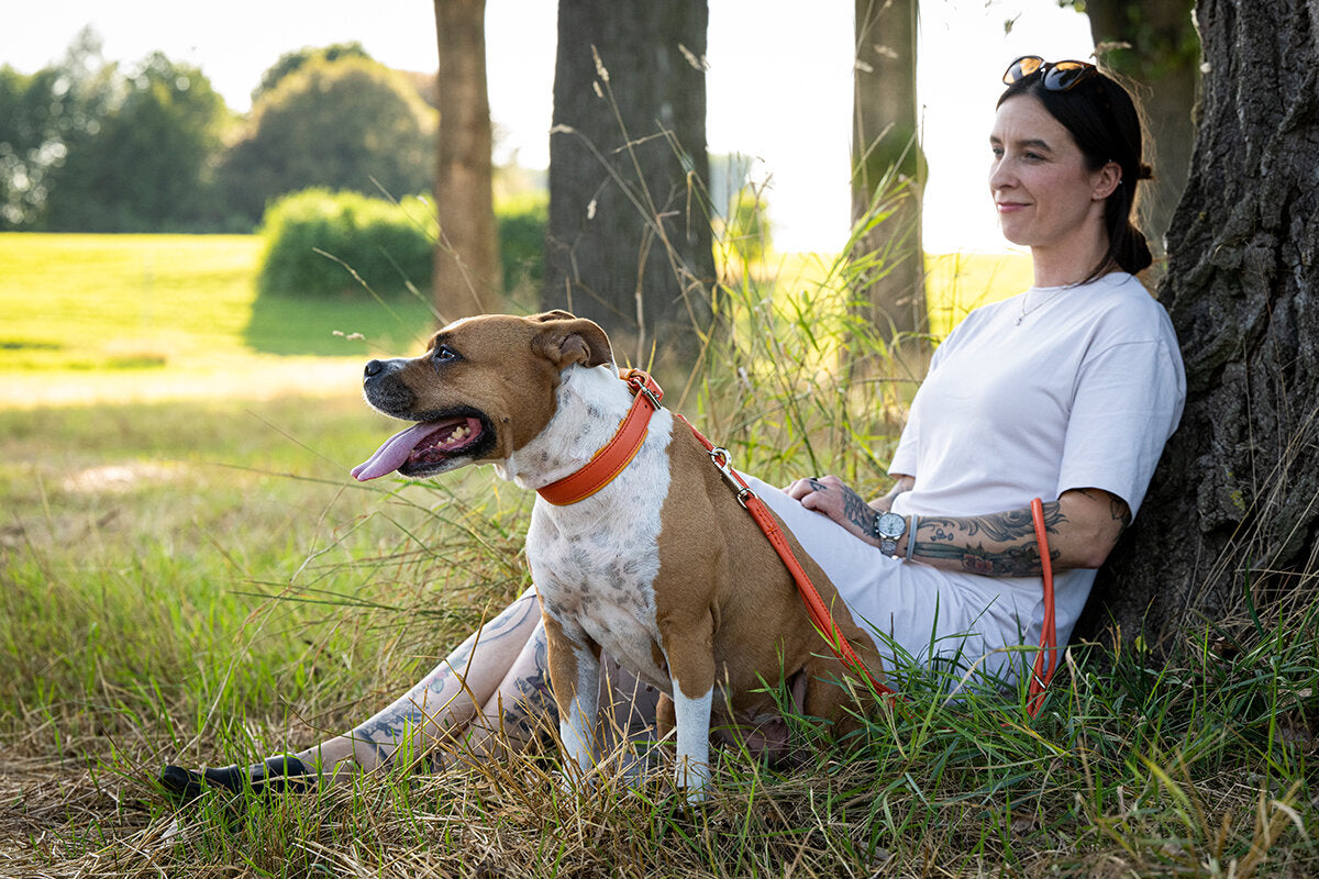 Maul | Læderhalsbånd Spring Break | Orange