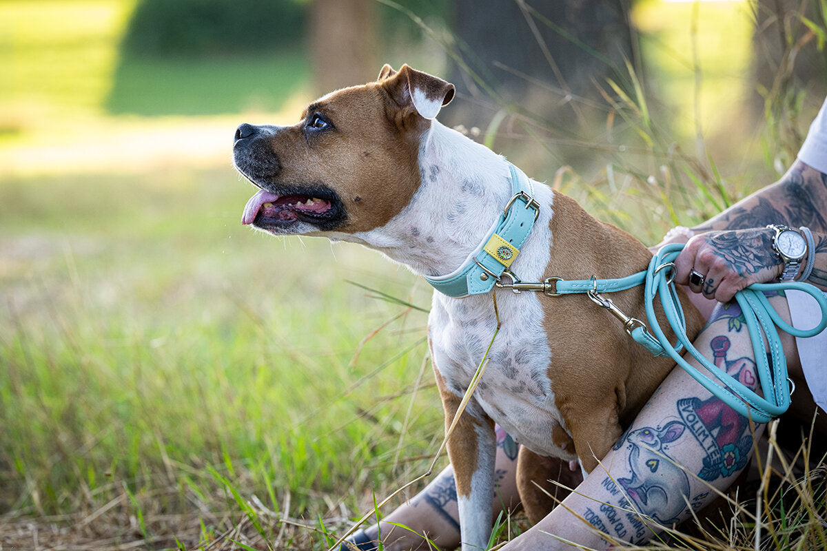 Maul | Læderhalsbånd Spring Break | Mint