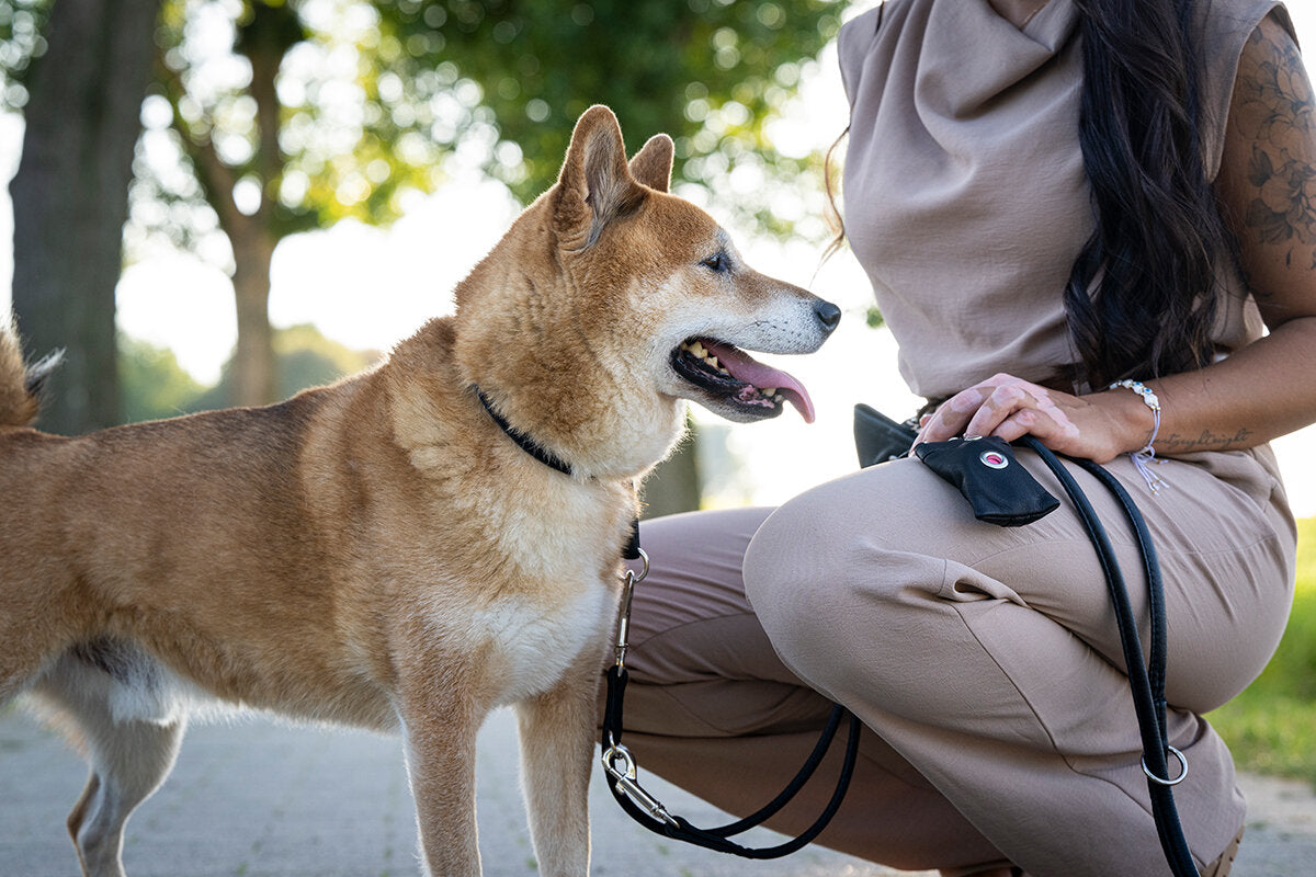 Maul | Sort rundsyet læder halsbånd | M. Sløv