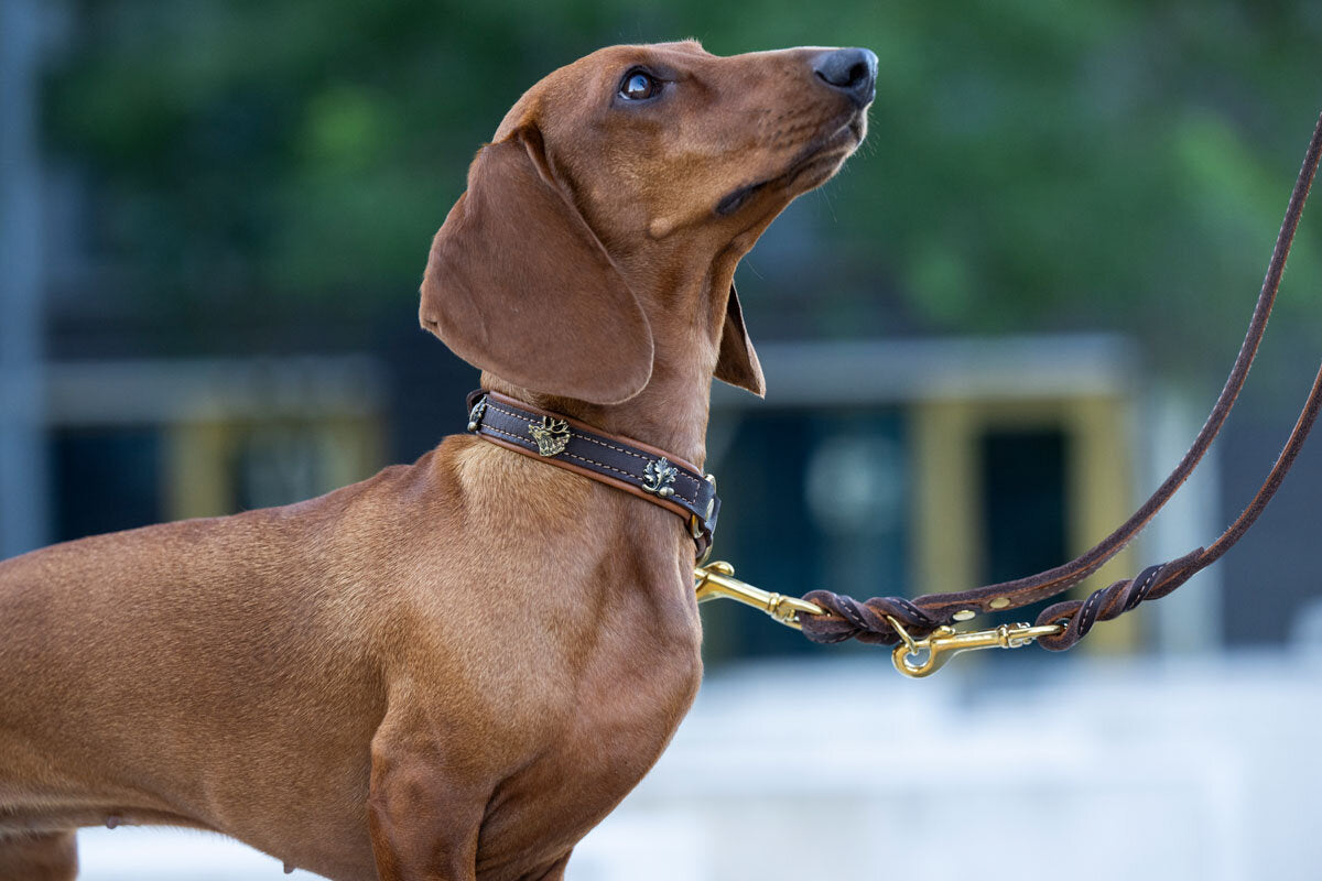 Maul | Læderline Klasisk Brun & Cognac | 2 M | M. Guld