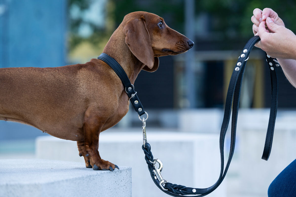 Maul | Læderline Klasisk Sort | 2 M | M. Sølv