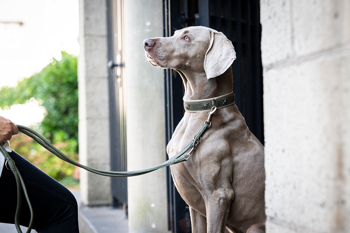 Maul | Læderline Rundsyet Khaki | 2 M | M. Sølv