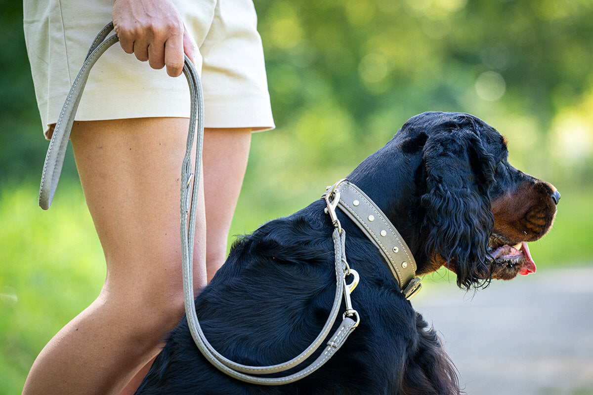 Maul | Brandy læder line 2 m | M. Sølv karabin