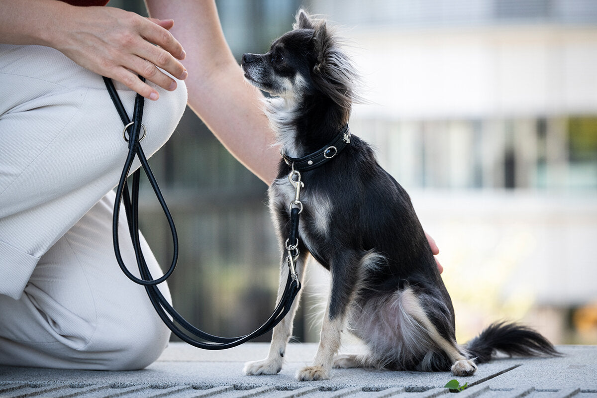 Maul | Læderline Rundsyet Sort | 3 M | M. Sølv