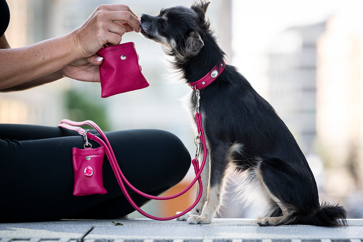 Maul | Hundeposeholder | Klassisk Læbestift M. Karabin